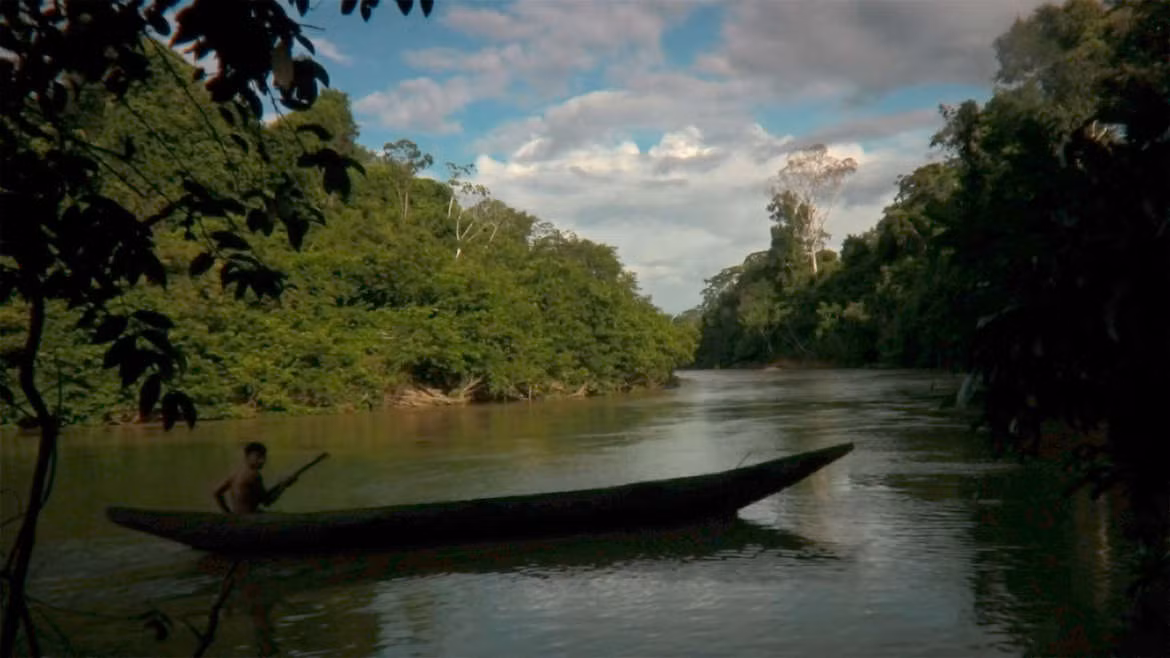 Người Yanomami tạo nên shabono từ các nguyên liệu tự nhiên như lá và dây leo rừng. Sau khoảng 4 - 6 năm, họ sẽ dỡ bỏ shabono cũ rồi dựng cái mới. Ảnh: Survival.
