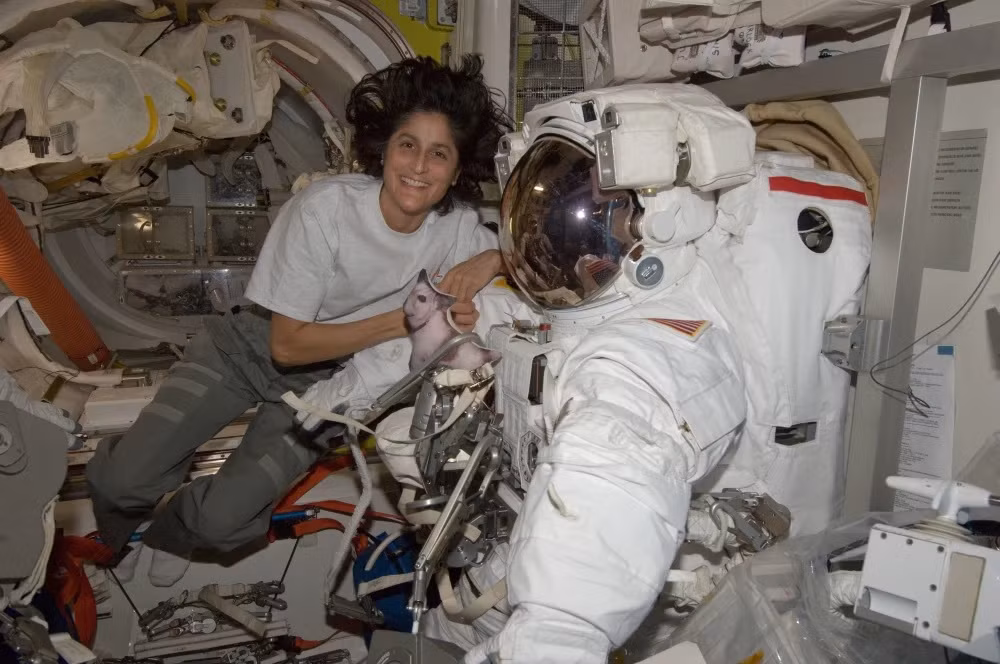 Trước sự việc này, Cơ quan hàng không vũ trụ (NASA) Mỹ nói, sức khỏe nữ phi hành gia Sunita tốt. Bà đã trải qua các cuộc đánh giá y tế thường kỳ. Ảnh: NASA.