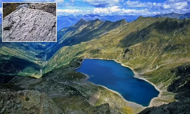Theo các chuyên gia, hệ sinh thái cổ đại này được tìm thấy ở độ cao khoảng 3.000m trên núi.
