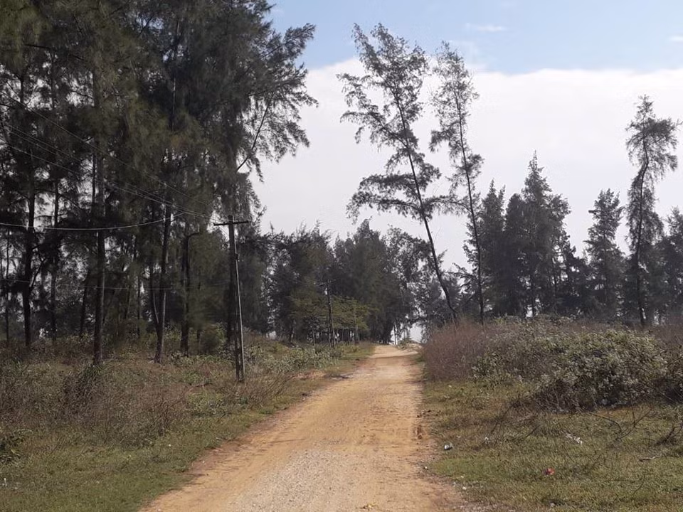 Thanh Hóa xóa rừng phòng hộ làm du lịch: Dân phản đối kịch liệt, huyện vẫn cố thu hồi Thanh Hoa xoa rung phong ho lam du lich: Dan phan doi kich liet, huyen van co thu hoi