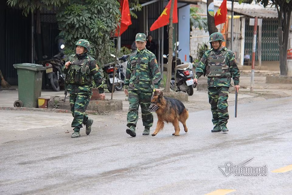 Bộ đội đưa chó đi tuần tra trên đường