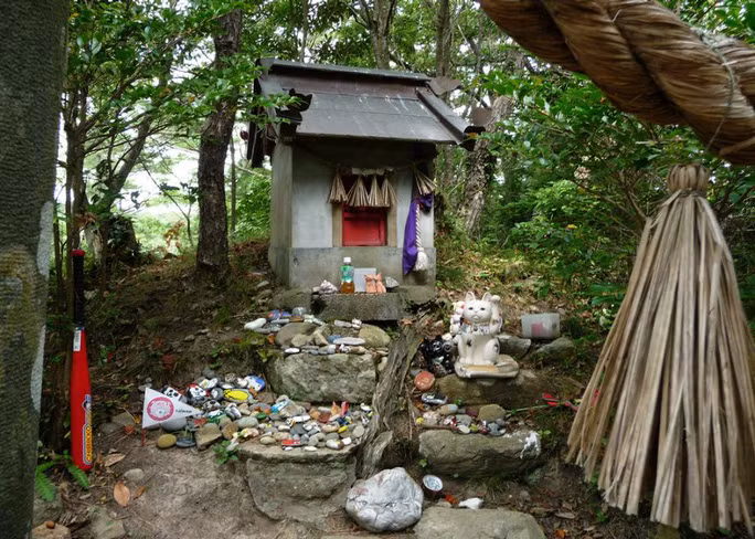 Thậm chí, người dân còn quan niệm chúng mang đến may mắn, thịnh vượng. Vì vậy, người dân trên đảo Tashirojima còn xây một ngôi đền thờ mèo.