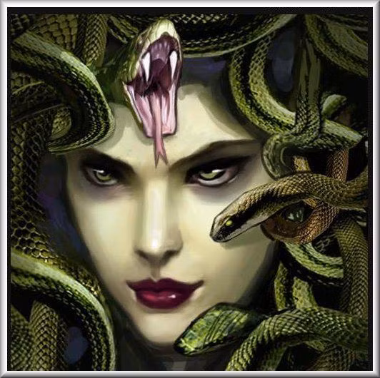 Với ngoại hình và khả năng chết chóc trên, không có người nào dám đến gần Medusa vì lo sợ sẽ gặp kết cục bi thảm bị hóa đá và chết.