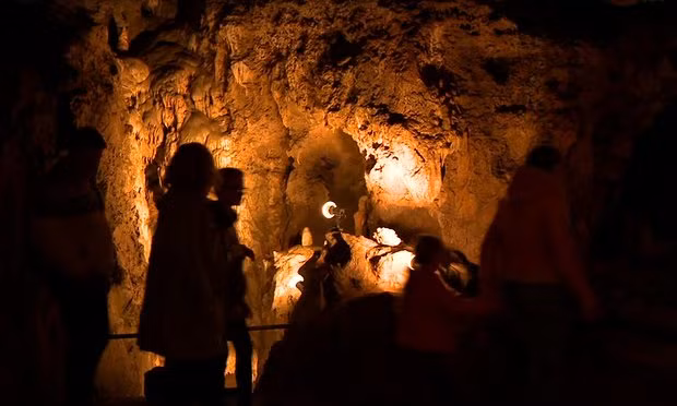 Trong quá trình khai quật các hang động Goyet tại Bỉ, các nhà khoa học phát hiện những bằng chứng cho thấy người Neanderthal sống cách đây khoảng 40.000 năm từng ăn thịt đồng loại.