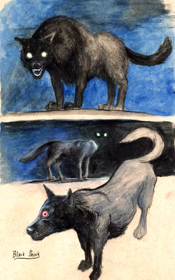 Theo lời kể của các nhân chứng, bất cứ ai nhìn thấy Black Shuck có ý định bỏ chạy thì đều bị nó giết chết ngay lập tức.