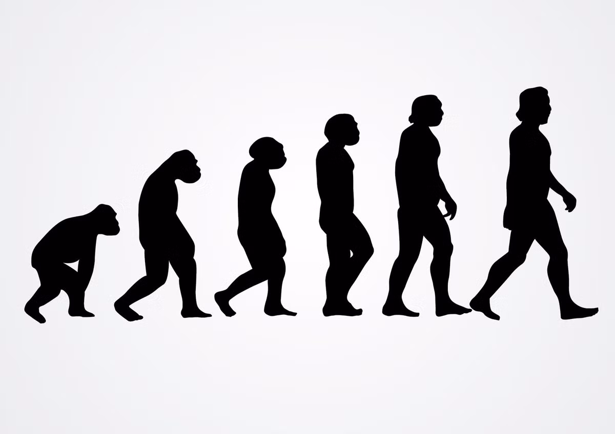 Các chuyên gia suy đoán đoán người Homo Floresiensis dường như tiến hóa từ một loài người khác có tên gọi Homo Erectus (đã tới Indonesia khoảng 1 triệu năm trước đây và hài cốt của họ từng được tìm thấy trên đảo Java, Indonesia).