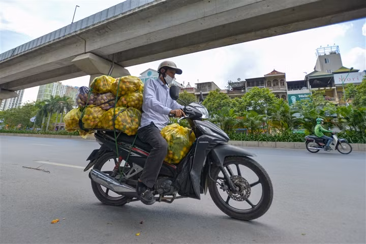 Giai cuu vai thieu Bac Giang voi gia 20.000 dong/kg o Ha Noi-Hinh-9