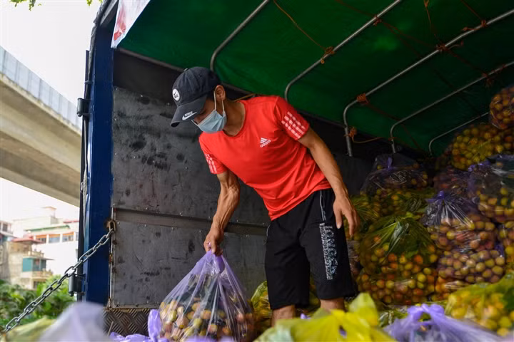 Giai cuu vai thieu Bac Giang voi gia 20.000 dong/kg o Ha Noi-Hinh-5