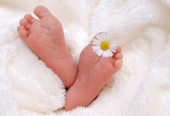 Căn nhà bốc mùi lạ, hàng xóm tò mò phát hiện điều kinh ngạc Can nha boc mui la, hang xom to mo phat hien dieu kinh ngac