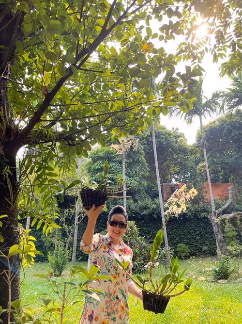 Nhà vườn của nghệ sĩ Thanh Thanh Hiền ở Sóc Sơn (Hà Nội).