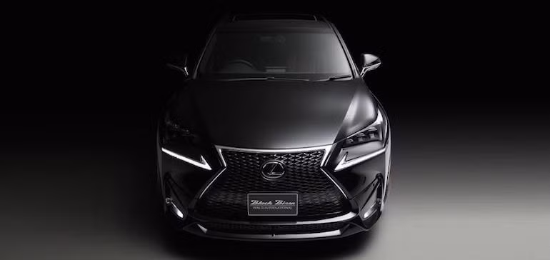 Ngoài ra, Wald không ép khách hàng phải mua toàn bộ gói độ Black Bison. Thay vào đó, từng chi tiết có thể được hãng bán lẻ.