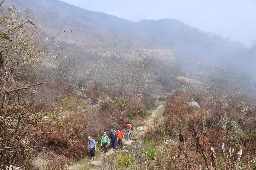 Đoạn đầu lên đỉnh Khang Su Văn khá dễ dàng, cảnh vô cùng hùng vĩ với rừng xanh mênh mông phủ kín những gốc cây cổ thụ cao chót vót.