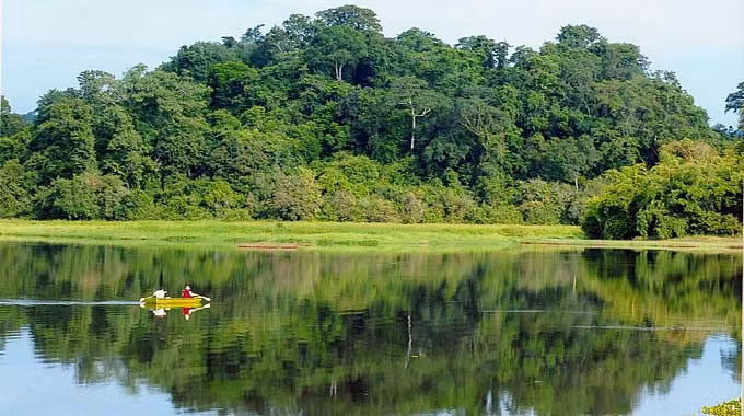 Khu hệ đất ngập nước Bàu Sấu (Đồng Nai): Toàn bộ hệ đất ngập nước Bàu Sấu nằm ở vị trí trung tâm khu Nam Cát Tiên, VQG Cát Tiên. Nơi đây có hàng chục loài sống mật thiết với các vùng đất ngập nước, bao gồm cả các loài bản địa và các loài chim di trú.