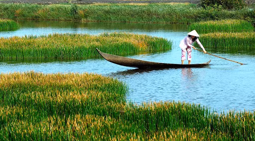 Do nằm ở vị trí địa lý đặc biệt này, hệ sinh thái biển và ven biển ở VQG Mũi Cà Mau có ý nghĩa đặc biệt quan trọng trong cung cấp các điều kiện phù hợp cho sự di cư, sinh trưởng và sinh sản của một số loài thủy sản; là điểm dừng chân và trú đông cho nhiều loài chim nước di cư.