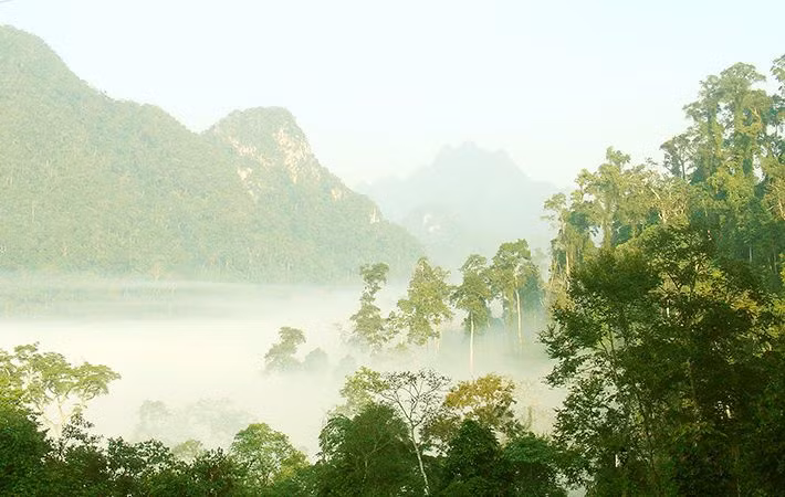 Ngoài ra, vườn Quốc gia Xuân Sơn có hệ thống đa dạng sinh học được bảo tồn. Nơi đây nổi tiếng với 3 đỉnh núi cao trên 1.000m, đó là các đỉnh: Núi Ve, núi Ten và núi Cẩn. 