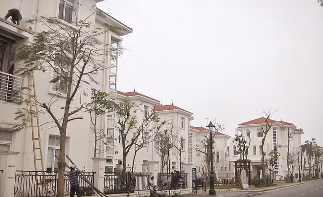 Ảnh minh họa.