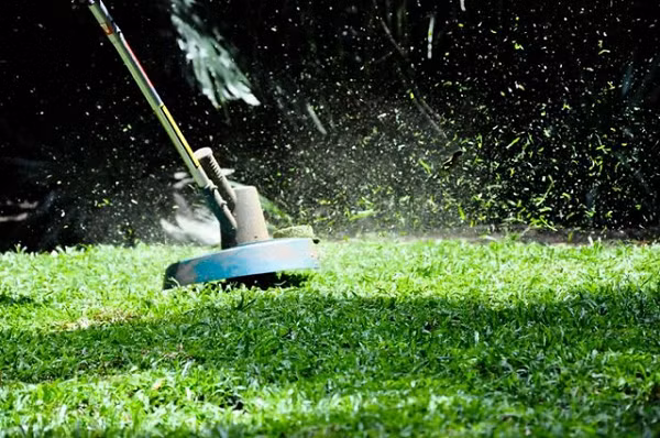 Mùi của một bãi cỏ mới cắt thực ra chính là tín hiệu cấp cứu do hóa chất phát ra từ cỏ khi chúng được cắt. Hay nói đơn giản, bạn đang ngửi mùi linh hồn và tiếng la hét của những cây cỏ vô tội.