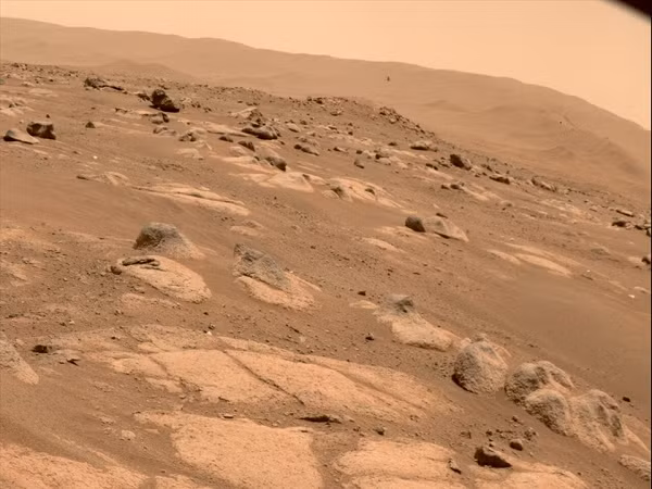 Tàu InSight của NASA đã tìm thấy những cơn địa chấn bí ẩn liên tiếp xảy ra. Là một hệ thống khe nứt được tạo ra bởi các đứt gãy ở khu vực Cerberus Fossae, kéo theo đó là 47 đầm lầy dường như mới xuất hiện.
