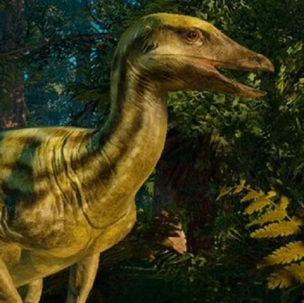 "Đó là một con Thescelosaurus. Trước đây, chúng tôi chưa có bất cứ bằng chứng nào về da của nhóm khủng long này. Phát hiện mới cho thấy chúng có nhiều vảy giống như thằn lằn...