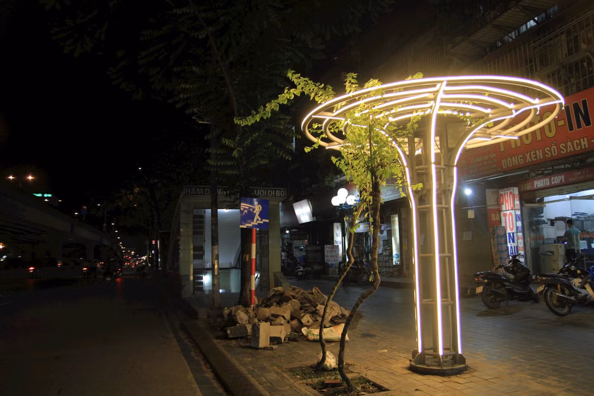 Nhung gian hoa giay lung linh trong dem o Thu do-Hinh-3
