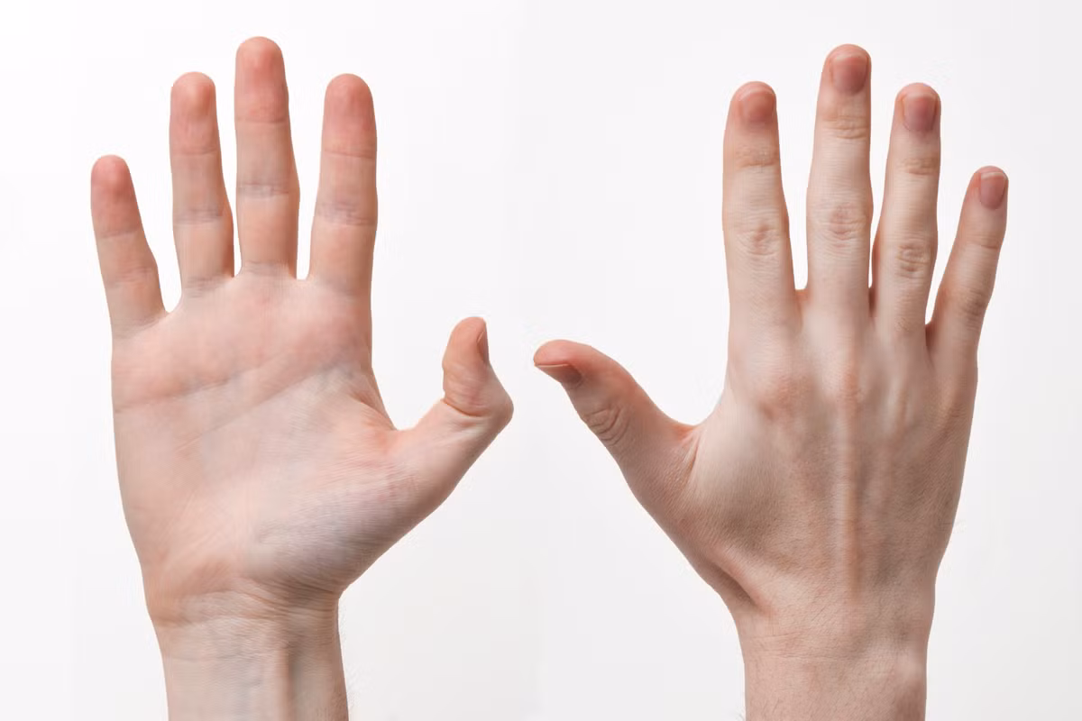 Người có dáng nhỏ nhắn mà sở hữu bàn tay nhỏ là người táo bạo, cởi mở, thích những công việc mang tính quyết đoán.