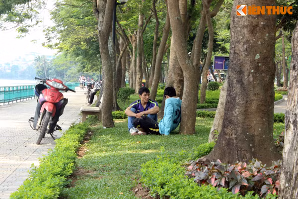 Hai nam thanh niên tranh thủ chui vào những hàng cây bên bờ hồ Tây để tránh nắng.