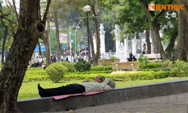 Do không khí trong nhà oi bức, nhiều người tranh thủ nằm dưới những dãy cây cổ thụ tìm bóng mát. Ảnh chụp trên đường Phan Đình Phùng.