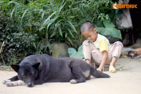 Đối với các em, Tết Trung thu cũng giống như những ngày bình thường. Các em không được bố mẹ đưa đi chơi hay mua sắm đồ chơi... giống như các bạn trên thành phố mà chỉ biết quanh quẩn xung quanh nhà mình.