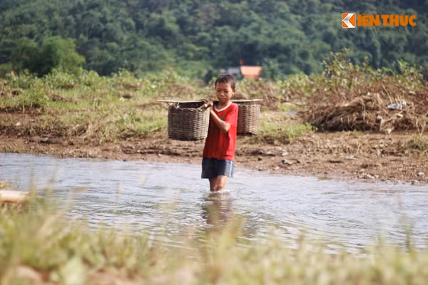 Ngoài giờ lên lớp học em Bùi Thanh Hùng (Học sinh lớp 6, Trường THCS Nật Sơn, Kim Bôi, Hòa Bình) tranh thủ lên đồi hoặc ra đồng làm những công việc nhẹ nhàng phụ giúp gia đình thay vì đi chơi Trung thu."Trung thu em không được mua quà hay được đi đâu chơi cả. Tranh thủ không đi học thì em đi lấy giống mía đem về nhà trồng cùng bố mẹ...", em Bùi Thanh Hùng chia sẻ.