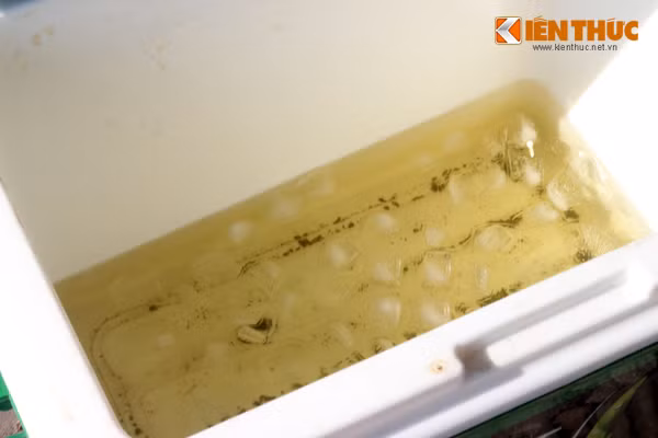 Theo anh Nam Anh, nước anh sử dụng là nước đóng bình, sau đó đem pha với nước trà rồi cho đá vào. Tất cả đều do tự tay anh làm. Ảnh chụp lá chè hòa chung với nước đá mà anh Nam Anh cùng 3 gia đình khác pha miễn phí cho người đi đường.