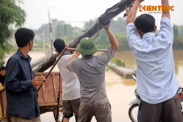 Để tránh xảy ra những trường hợp đáng tiếc do đi qua nước lũ người dân dùng những cây gỗ to chắn ngang đầu đường để cảnh báo.