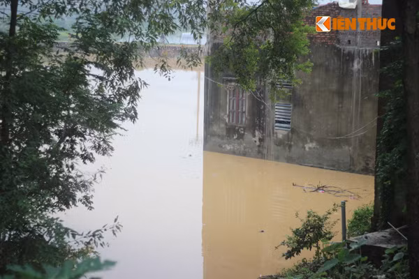 Nhiều nhà người dân xây dựng cạnh sông Bùi cũng bị ngập sâu trong nước lũ do mưa lớn kéo dài.