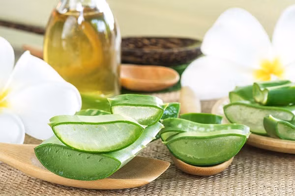 7 mặt nạ dầu ô liu dưỡng da hiệu quả thần kỳ - Hình 8 7 mat na dau o liu duong da hieu qua than ky-Hinh-8