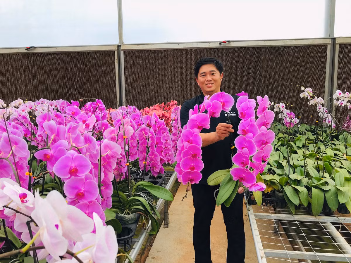 Can Tet Tan Suu: Hoa tuoi Trung Quoc lan at hoa Viet-Hinh-3