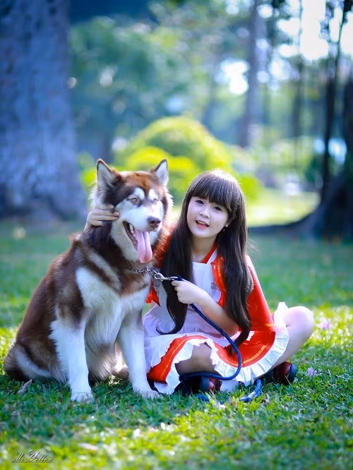 Mới đây, bộ ảnh cô bé quàng khăn đỏ của 9X xinh đẹp tên Anh Thư khiến nhiều cư dân mạng phải trầm trồ khen ngợi vẻ đẹp trong sáng và lối diễn xuất hồn nhiên của cô bé này. Ảnh: Mr. Yellow.