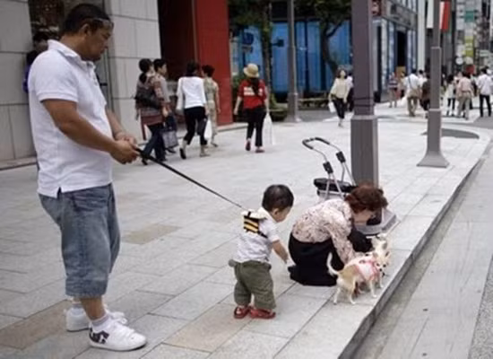 Giữa đứa trẻ và hai chú cún khiến nhiều người có khái niệm nhầm vị trí.