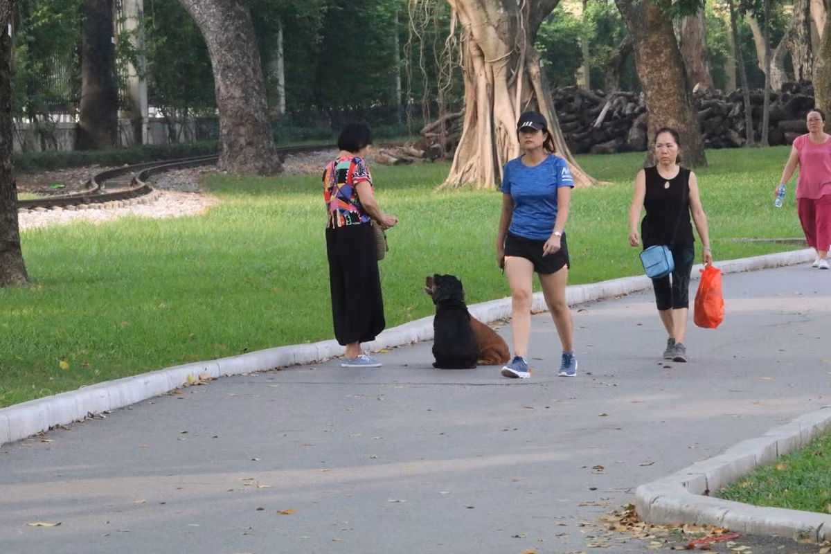 Ngoài việc được thả rông, không rọ mõm, không xích kéo, những chú chó còn vô tư vệ sinh trên bãi cỏ hay ngay chính đường tập thể dục người dân. Trong khi đó, người chủ thì phớt lờ, chắc nịch rằng sẽ có người phải dọn.