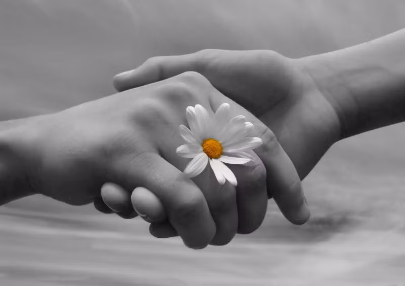 Tuy nhiên, với những ai thuộc hội FA thì khuyến cáo không nên xem qua những hình ảnh của trào lưu trên vì sẽ mang cảm giác vô cùng gato.