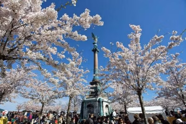 Lãnh sự quán danh dự của Hiroshima tại Đan Mạch đã trao tặng thành phố Copenhagen 200 gốc anh đào để kỷ niệm 200 năm ngày mất của nhà văn Hans Christian Andersen. Đây cũng sẽ là địa điểm tổ chức lễ hội hoa Anh Đào năm nay của đất nước Đan Mạch.