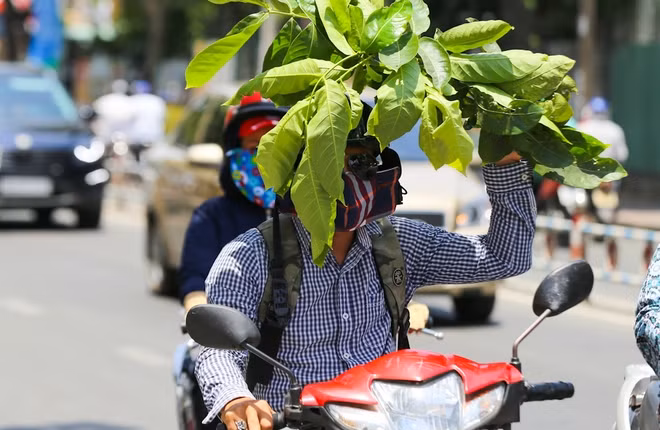 Nguy trang chống nắng như các "cụ" bộ đội ta thời chiến tranh.