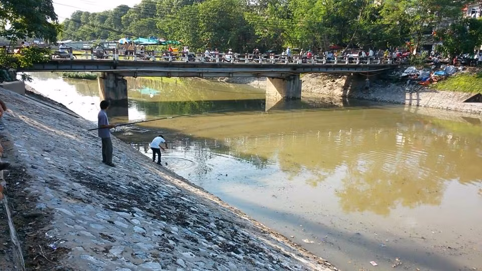 Ông Nguyễn Bá Long (sống ở gần sông Tô Lịch) cho hay, bình thường nước sông rất bẩn nên người dân ít ai để ý đến cá ở đây. Chiều nay, sau đợt mưa nước sông Tô Lịch được "tẩy rửa" nên cá từ đâu kéo đến rất đông. "Sống đây đã lâu nhưng đây là lần đầu tôi thấy nhiều cá mè đến vậy", ông Long nói.