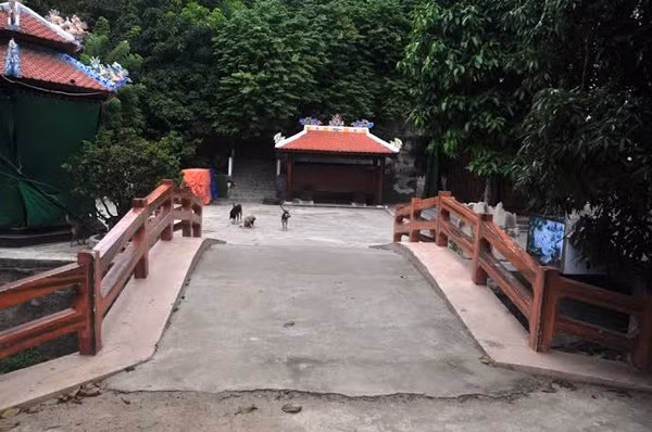 “Theo bà con, nếu nhà nước yêu cầu phá dỡ thì nên ra quyết định tịch thu sung công và giữ lại. Chứ đập bỏ thì tiếc lắm. Đành rằng ông Quang sai phạm thì phải xử lý nghiêm, nhưng khối tài sản này quá lớn”- một người dân nhận xét.