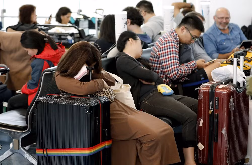 Hai trận đấu bóng bầu dục trong khuôn khổ World Cup cùng các buổi hòa nhạc và sự kiện khác trong khu vực đã bị hủy bỏ. Khoảng 1.600 chuyến bay bị hoãn và đường sắt cũng dừng hoạt động để tránh bão. Các nhà chức trách khuyến cáo người dân nên ở trong nhà. Khoảng 17.000 sĩ quan cảnh sát và quân đội đã được triển khai sẵn sàng cho công tác cứu hộ.