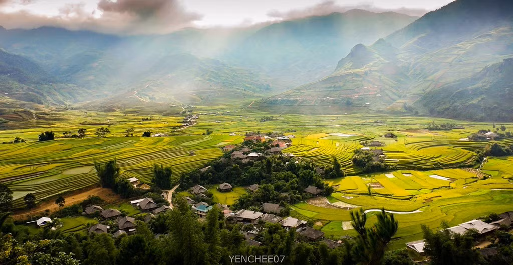 Nụ cười trong veo mùa cấy lúa.