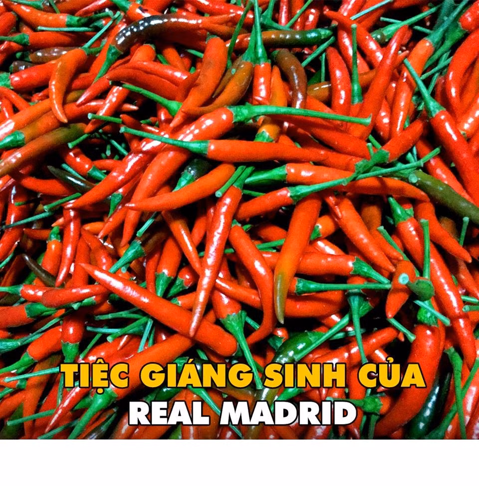 Tiệc Giáng sinh tràn ngập ớt của Real Madrid. Ảnh sử dụng trong bài: Troll Bóng Đá.