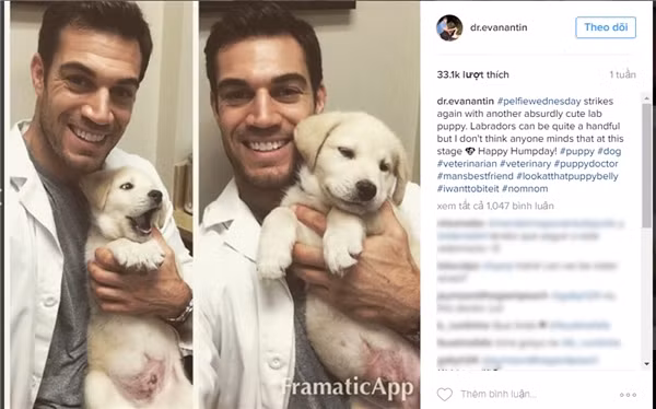 Evan Antin, bác sĩ thú y ở bệnh viện Conejo Valley Veterinary, Mỹ.