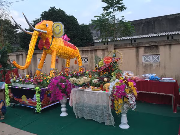 Chú voi này dường như không được ăn đủ chất nên có phần hơi còi so với quy định.