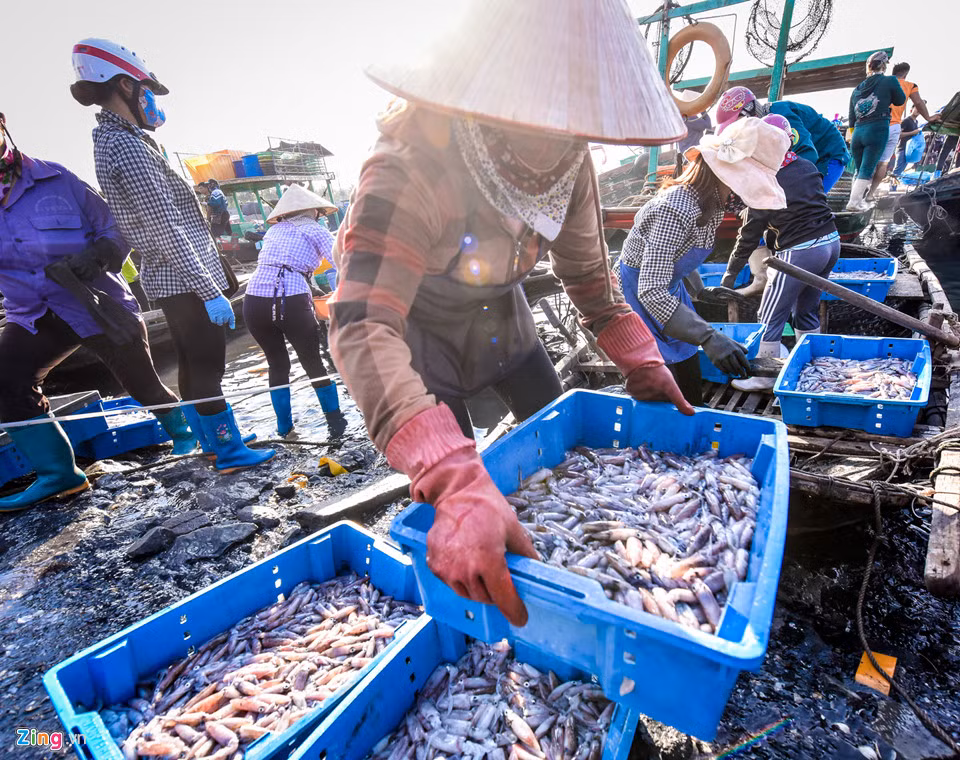 Trước đây, chợ cá Bến Do còn có tên gọi khác là chợ Lội do tàu thuyền không thể cập bờ. Tiểu thương phải lội nước biển ra xa để mang tôm cá vào. Tuy nhiên, 5 năm gần đây, chợ được xây dựng lại tạo điều kiện thuận lợi cho việc vận chuyển, mua bán