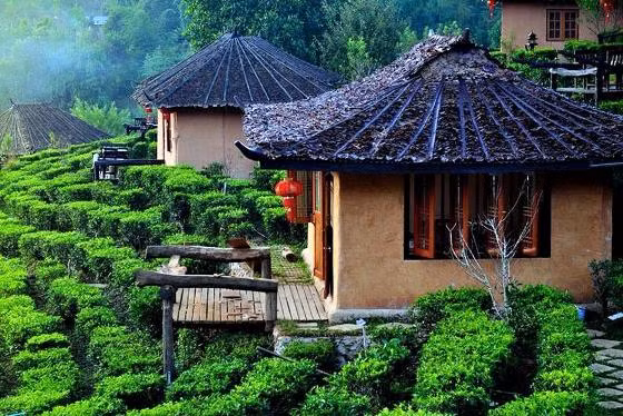 Vẻ đẹp lặng lẽ, hữu tình của núi non, sông nước chính là điểm khác biệt với các nơi khác khi du lịch đến Thái Lan. Ẩn hiện giữa đồi chè, các ngôi nhà nhỏ xinh xắn của người Hoa mang vẻ đẹp khiến du khách say mê.