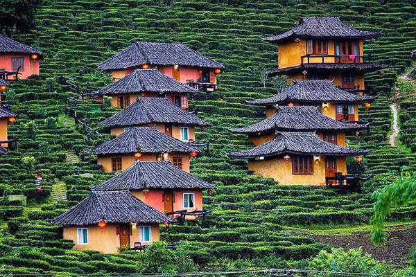 Nằm trên độ cao 1776 m so với mực nước biển, ngôi làng Ban Rak Thai có phần biệt lập với bên ngoài. Ngôi làng chủ yếu là người Hoa sinh sống bằng nghề trồng và chế biến chè. Vì thế, đặc sản chè ở đây nổi tiếng có vị ngon nổi tiếng với du khách.